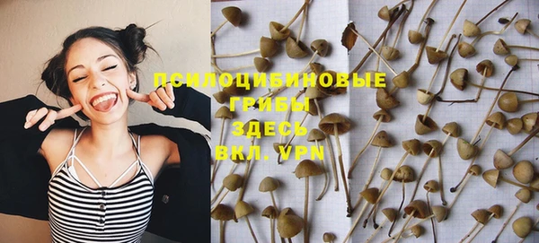 не бодяженный Магас