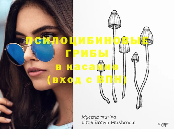 ешки Порхов
